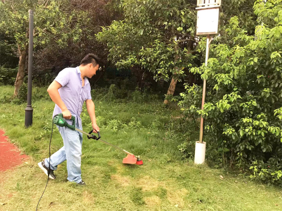 華東師范大學(xué)張江實(shí)驗(yàn)中學(xué)操場(chǎng)草坪維護(hù)