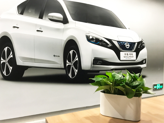 東風日產乘用車NISSAN上海環(huán)貿辦公室高端綠植租賃