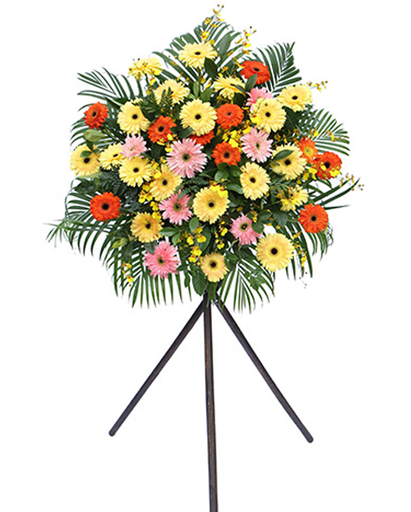 開(kāi)業(yè)花籃06