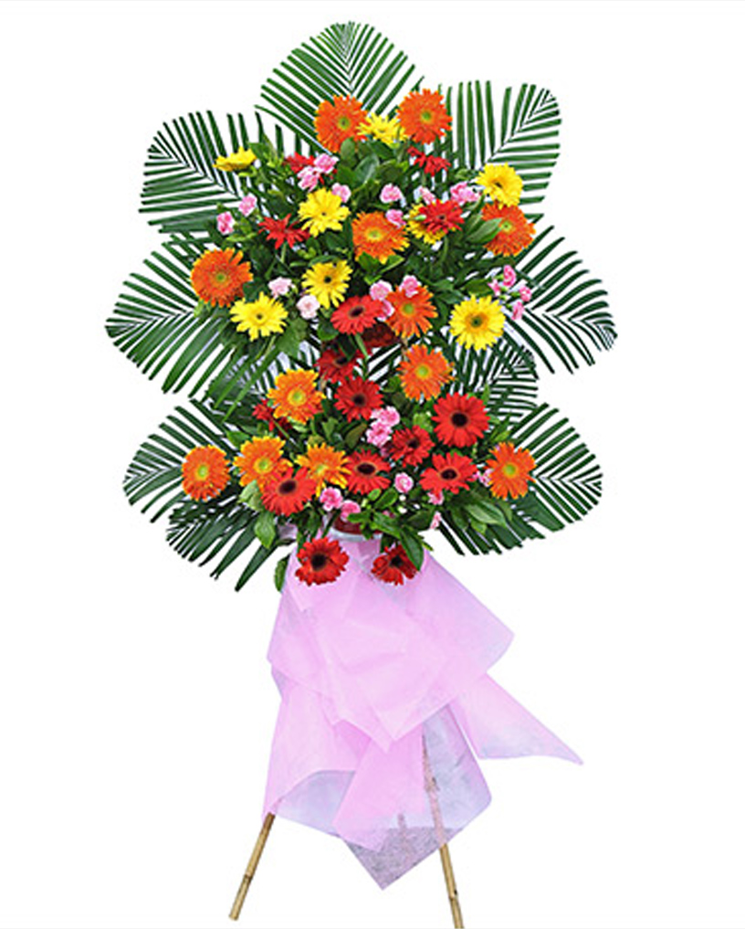 開(kāi)業(yè)花籃13