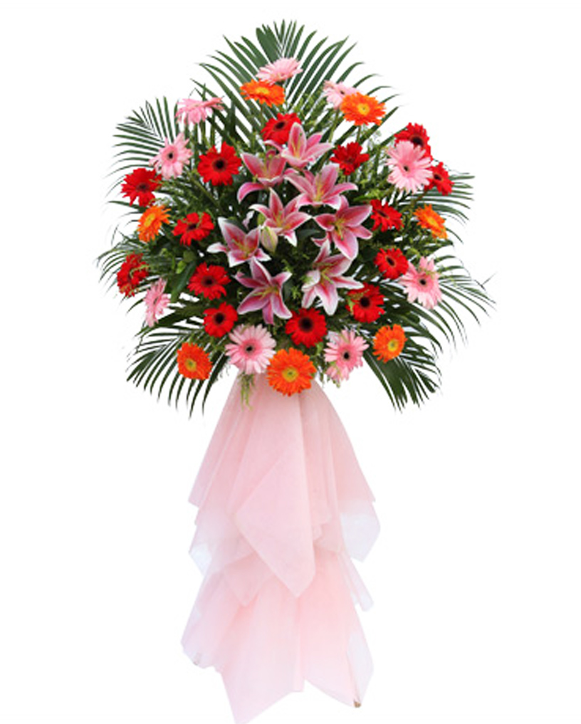 開(kāi)業(yè)花籃14