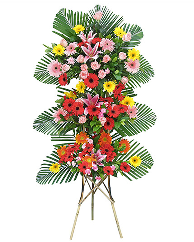 開(kāi)業(yè)花籃15
