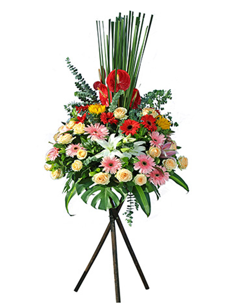 開(kāi)業(yè)花籃16