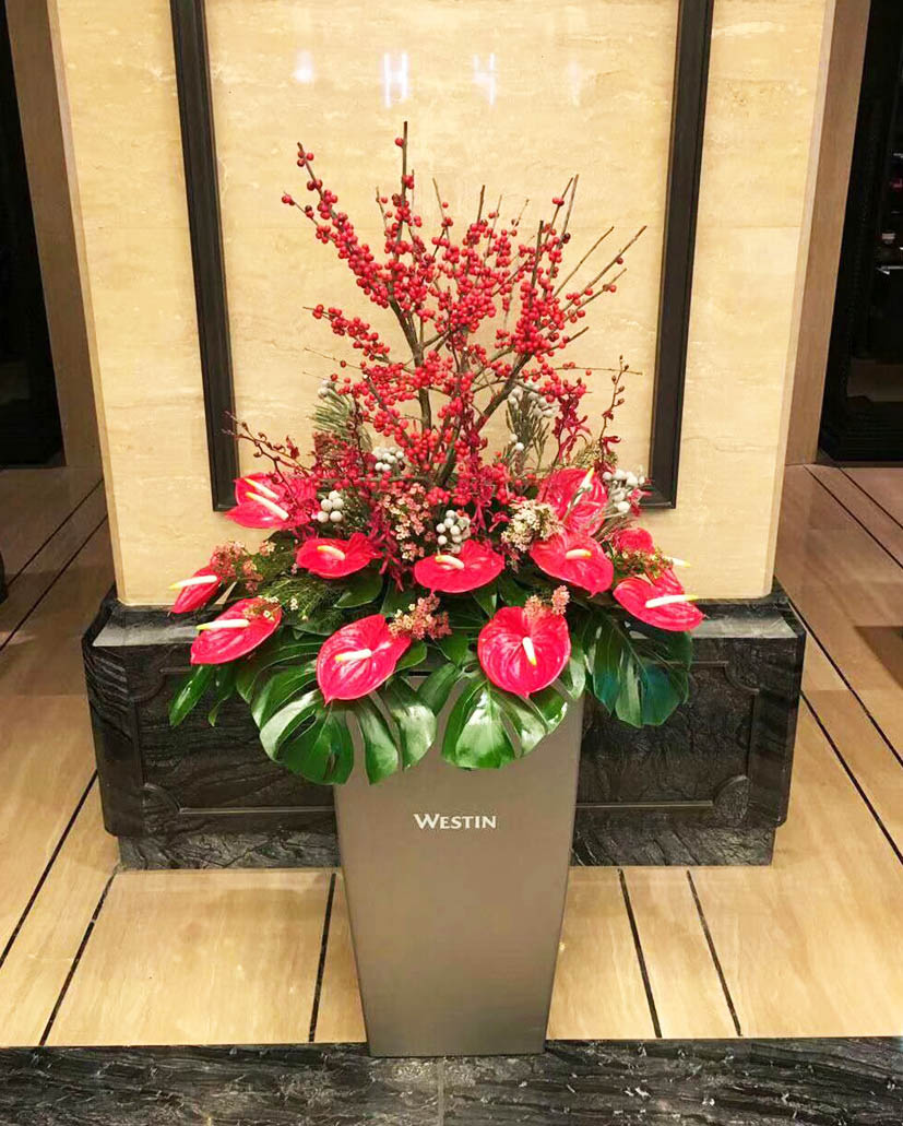 臺花46