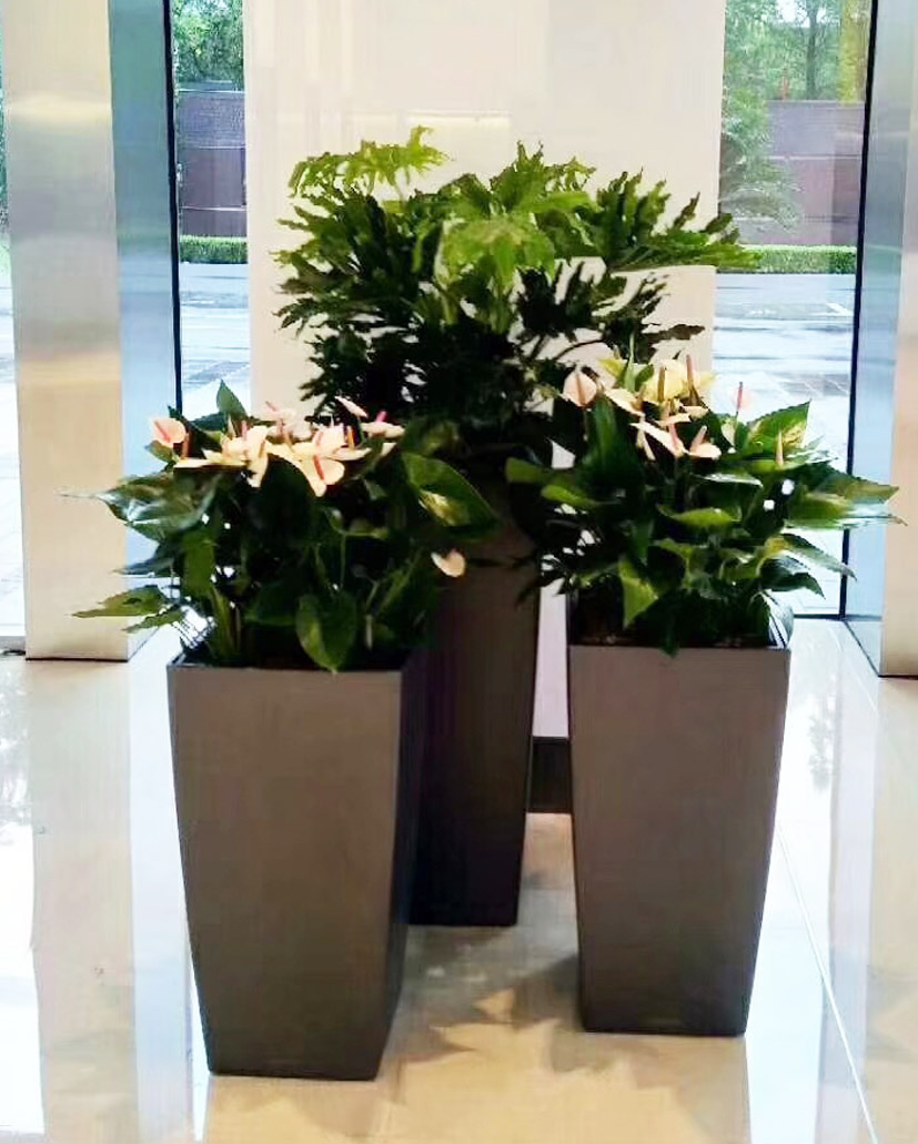 組合花卉4