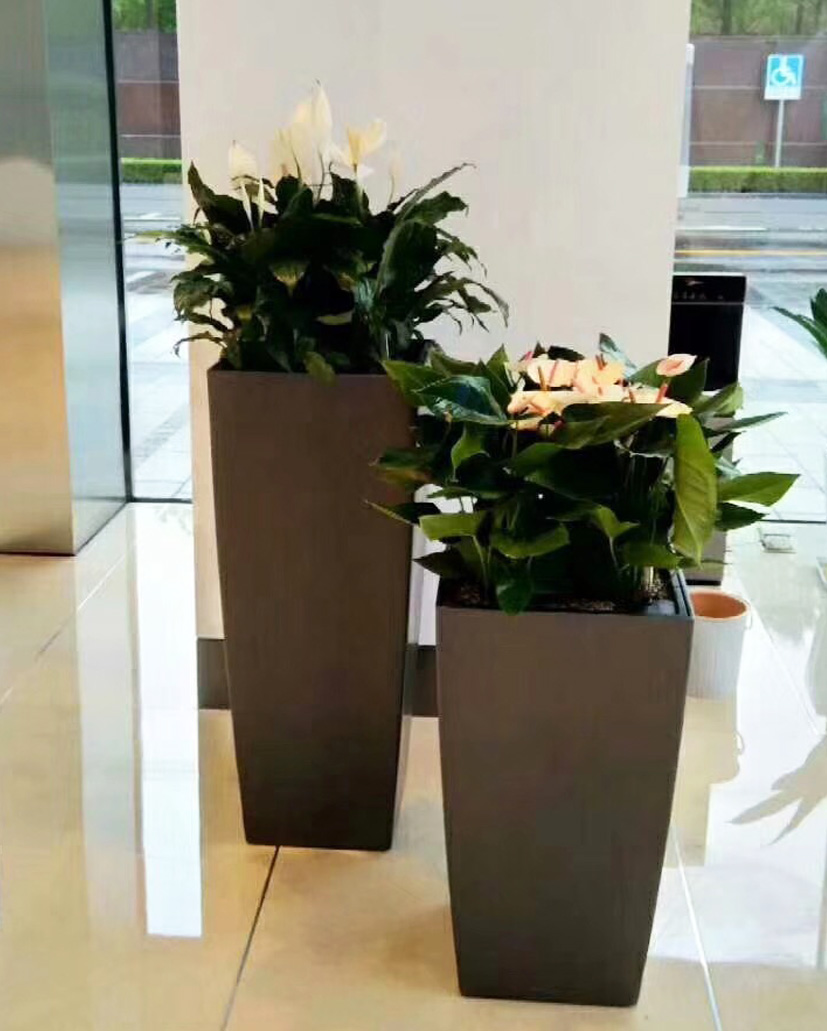組合花卉5