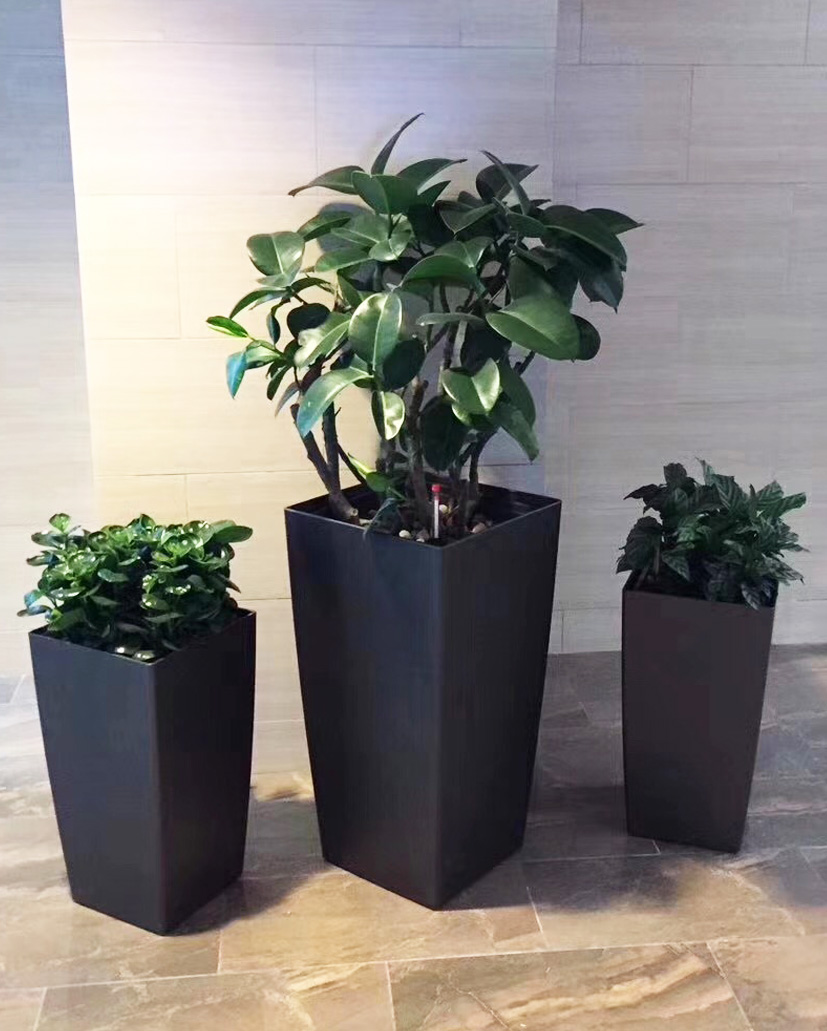 組合花卉6