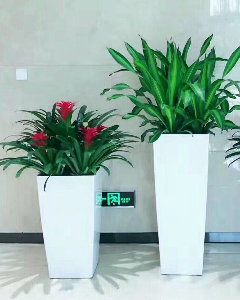 組合花卉9