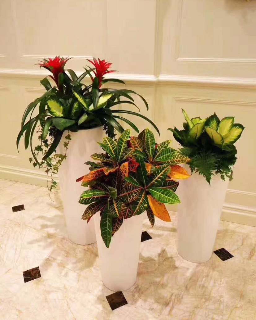 組合花卉11