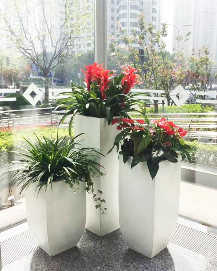 組合花卉13