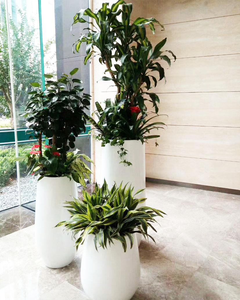 組合花卉15