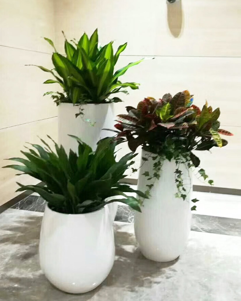 組合花卉17