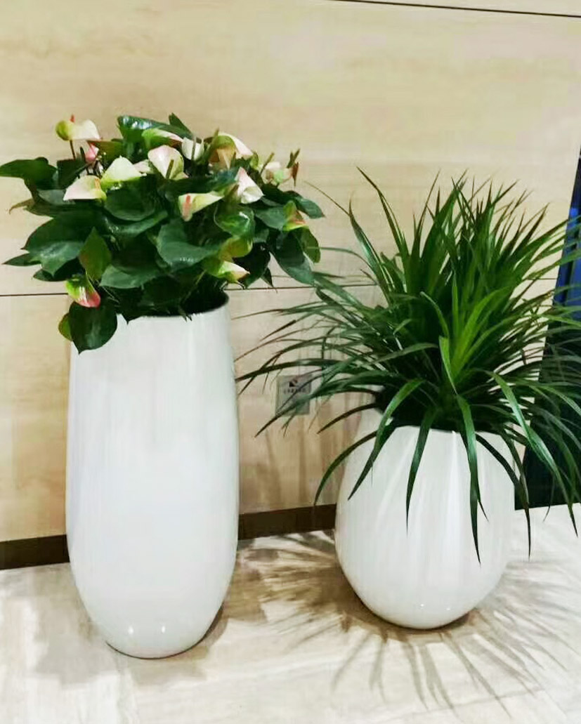 組合花卉18