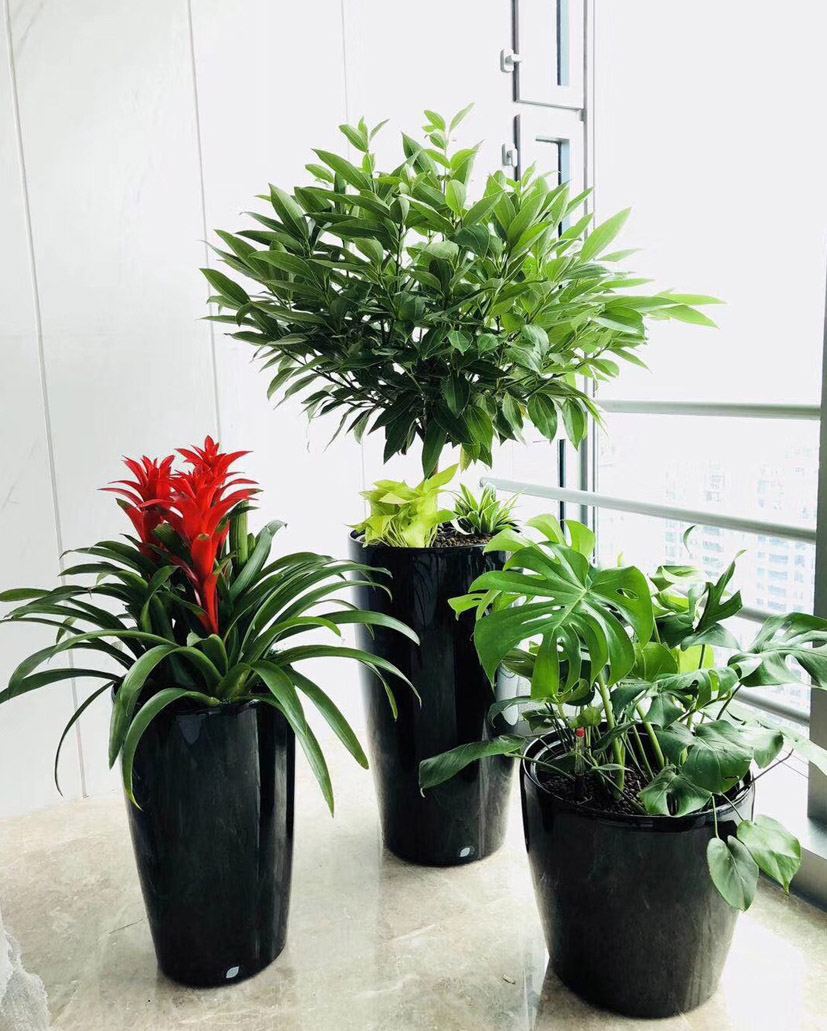 組合花卉20