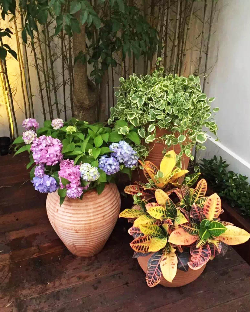 組合花卉28