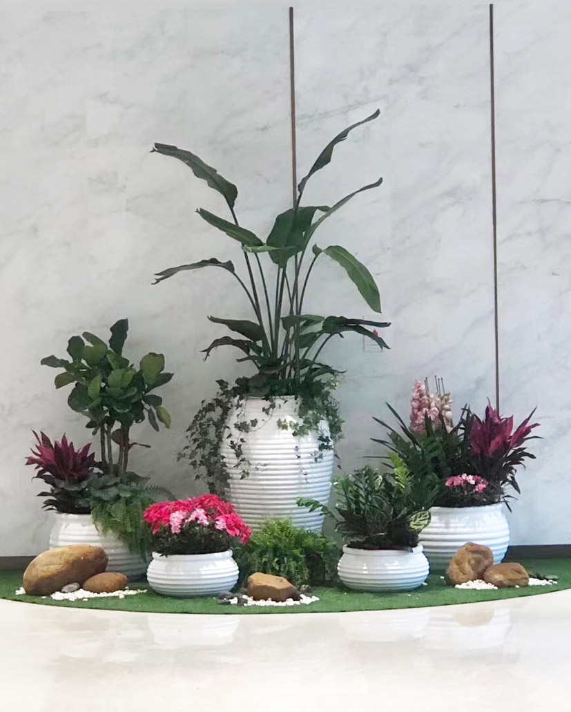 組合花卉31