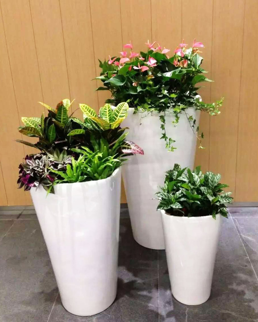 組合花卉34