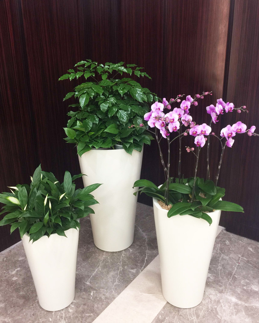 組合花卉36