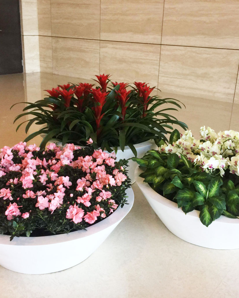 組合花卉39