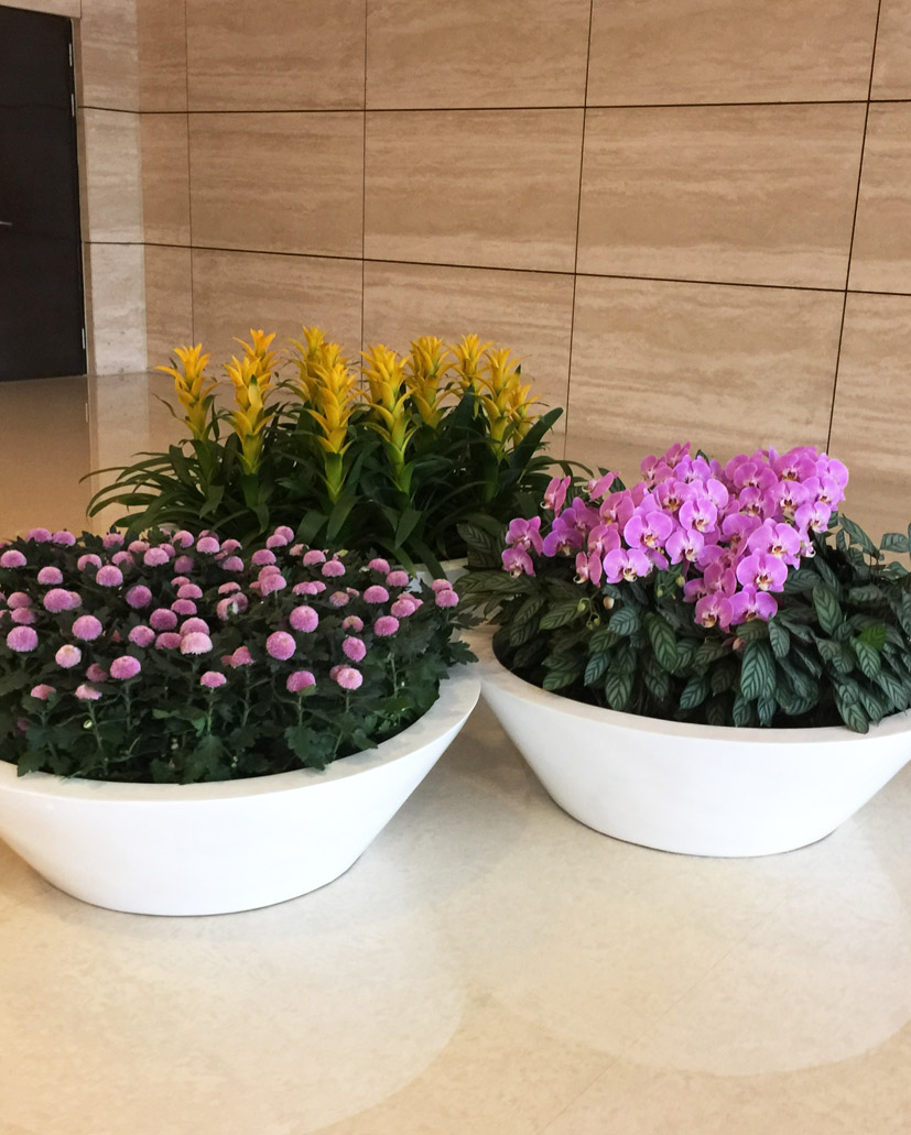 組合花卉40