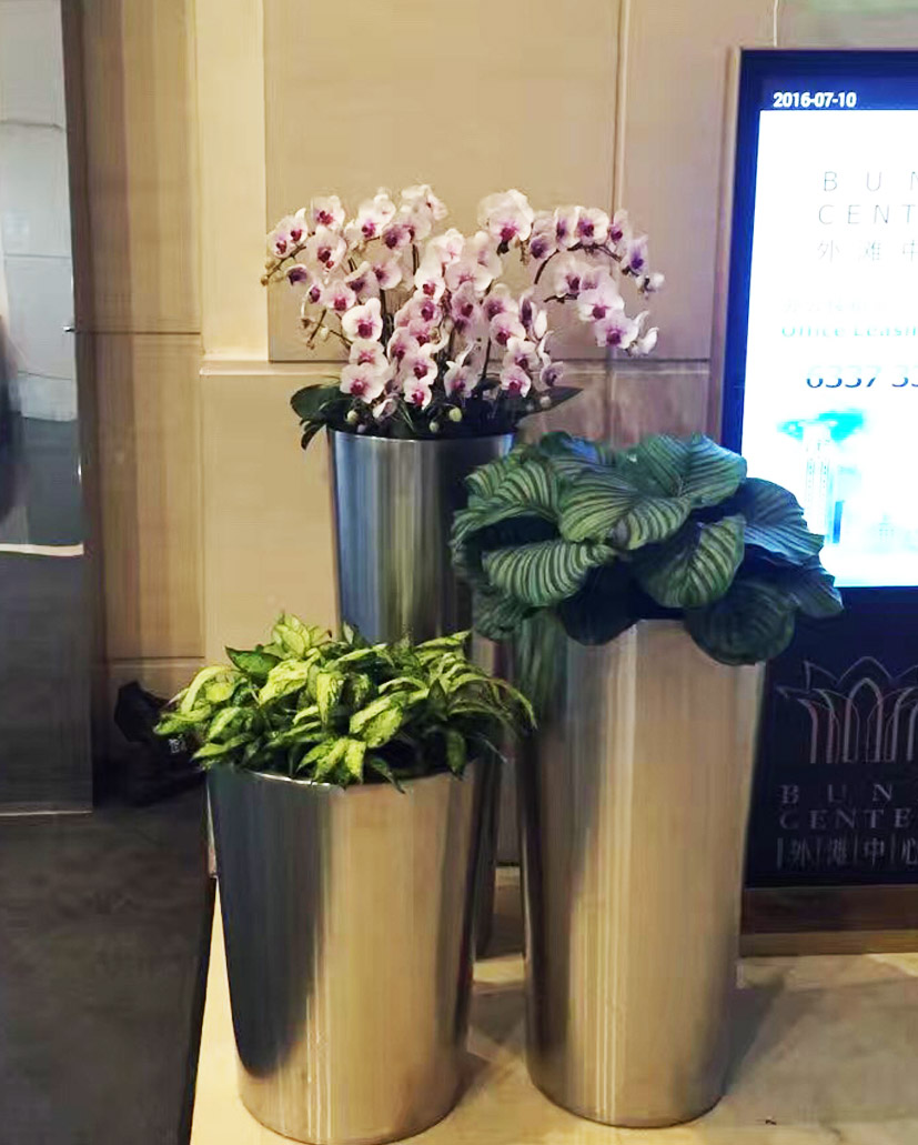 組合花卉41