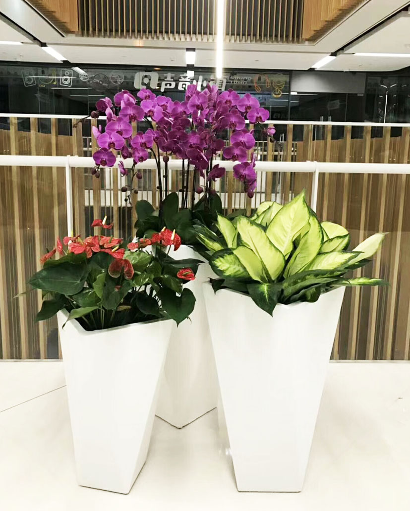組合花卉44