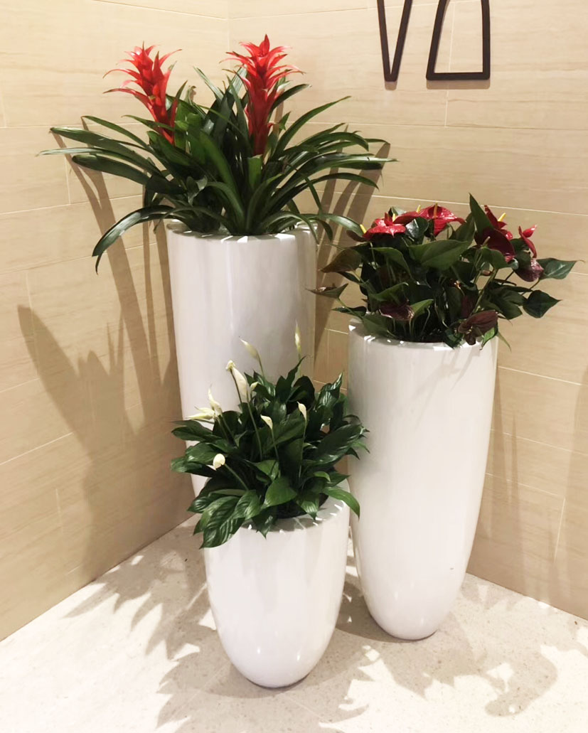 組合花卉50
