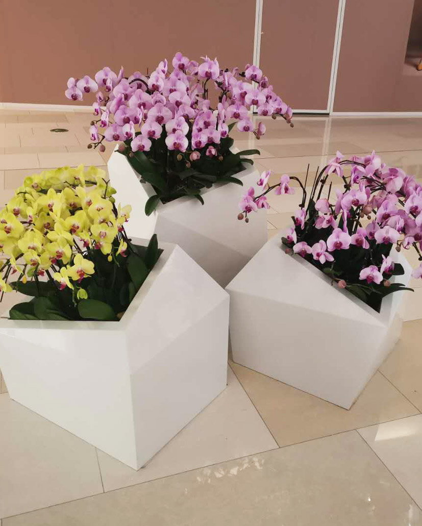 組合花卉54