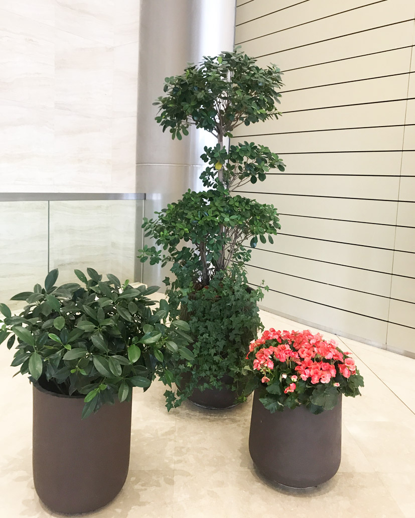 組合花卉57