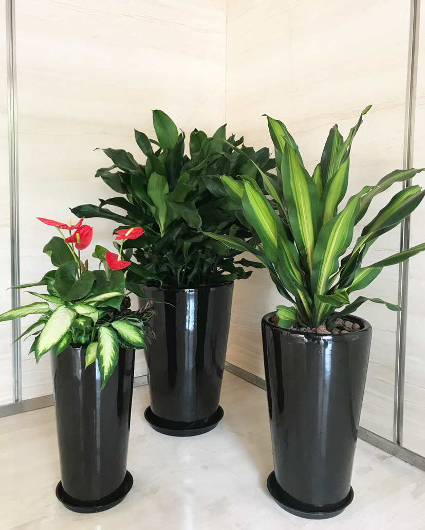 組合花卉60