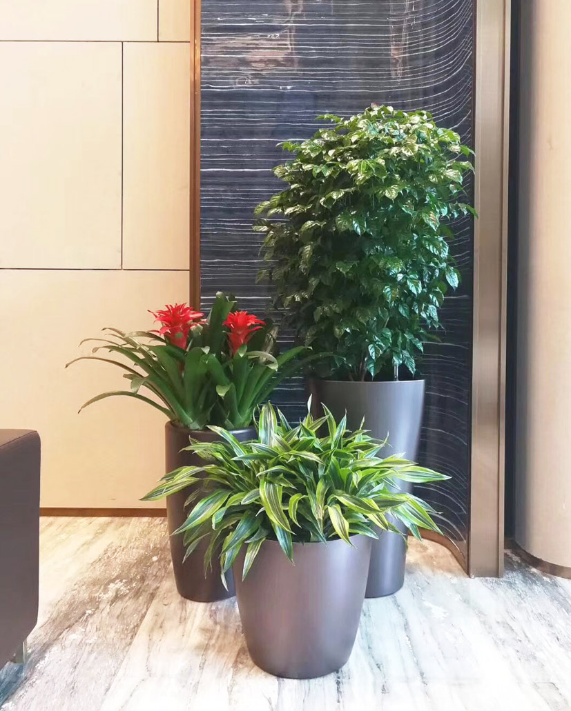 組合花卉64