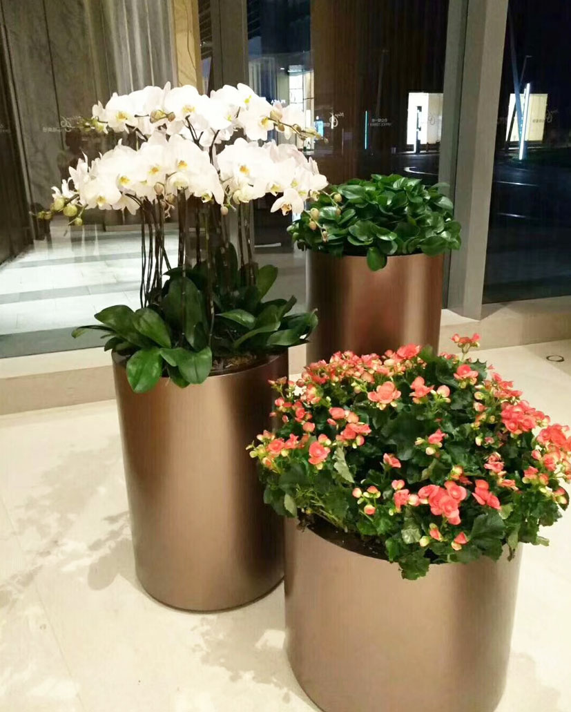 組合花卉68