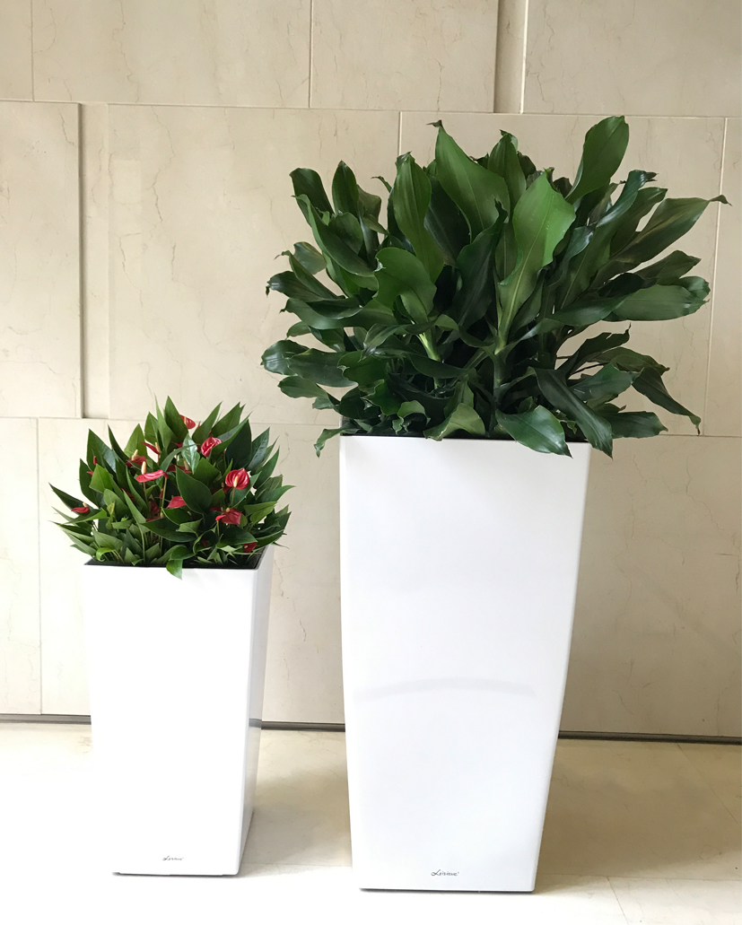 組合花卉74