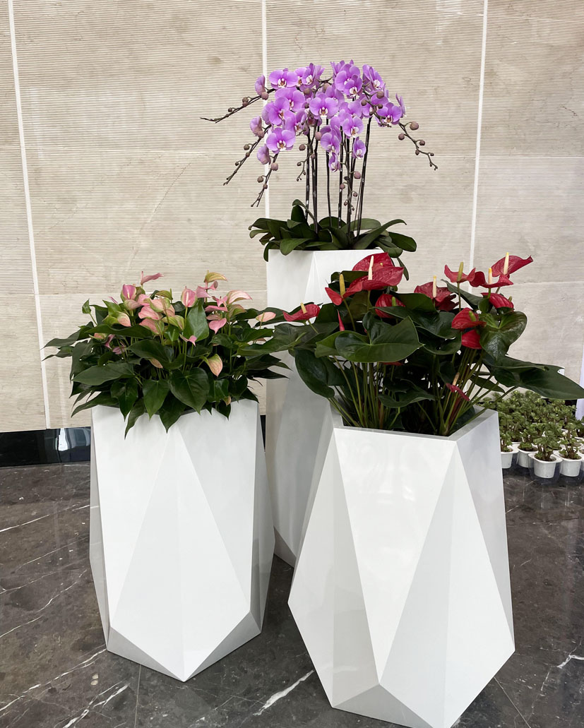組合花卉78