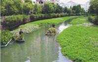 《上海市河道綠化建設(shè)導(dǎo)則》