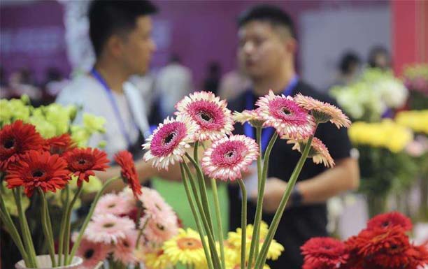 第20屆中國昆明國際花卉展將于7月在滇池國際會(huì)展舉行