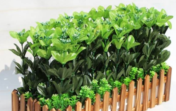 上海綠植租賃公司為您介紹室內(nèi)綠植維護(hù)的一些技術(shù)和特點(diǎn)