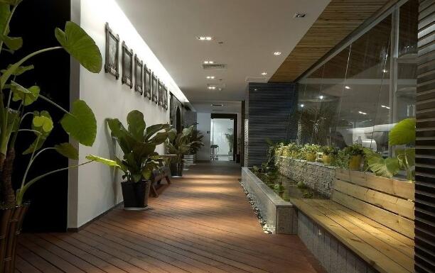 今天綠植租賃公司主要簡述什么植物適合放在辦公室里