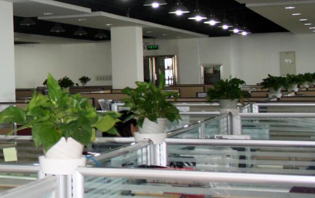 上?；肇S綠化租擺分析花卉盆景病蟲害的防治措施