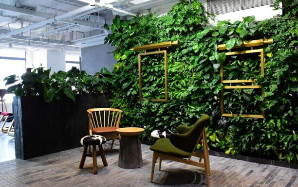 上海綠植租賃公司教您四個(gè)提高花卉擺放效果的方法
